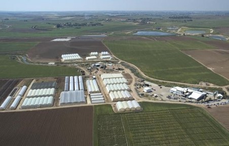 Agricultural Seed Services